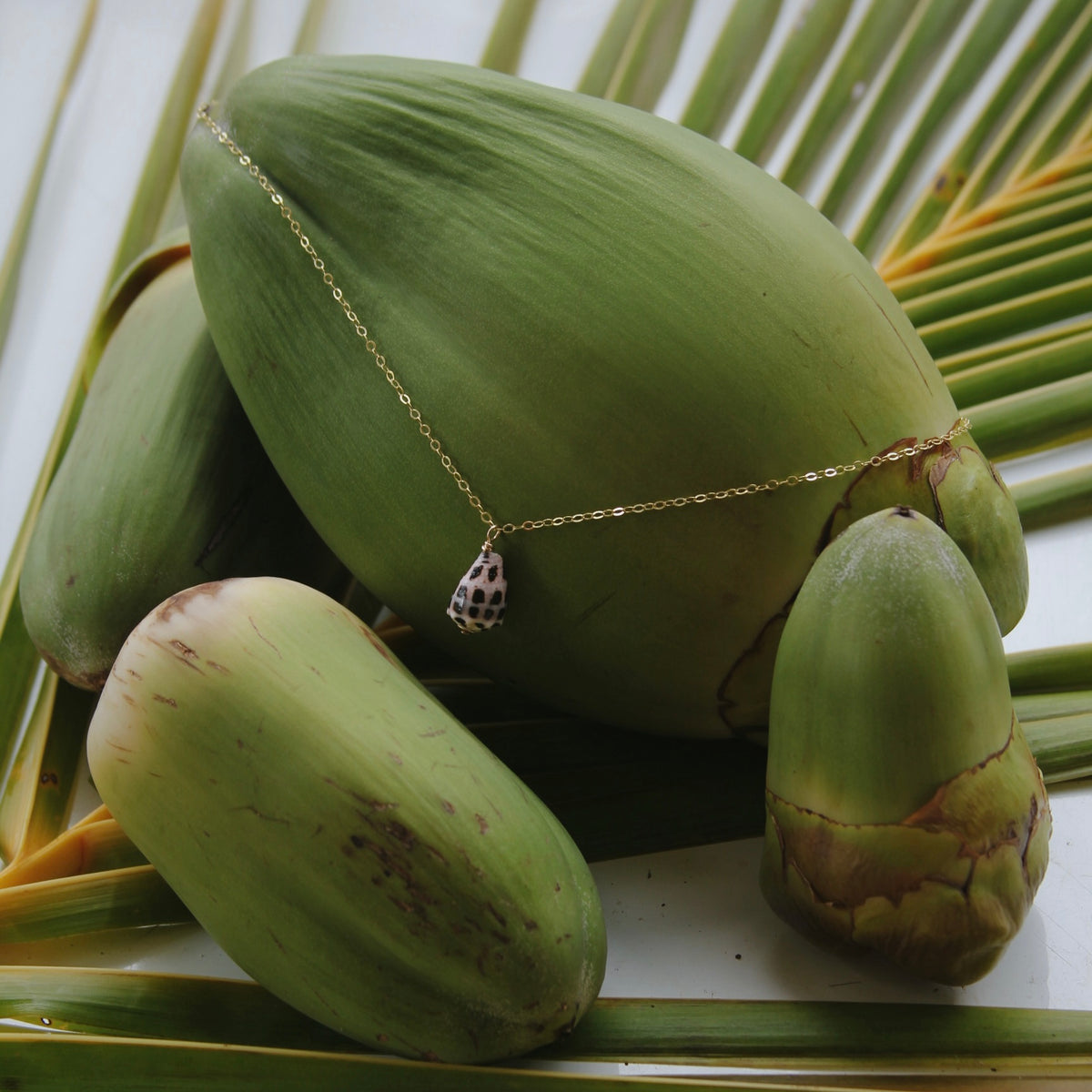 HEBREW CONE SHELL NECKLACE