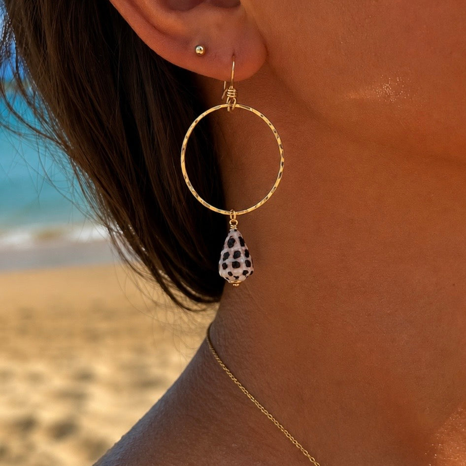 HEBREW SHELL HOOPS
