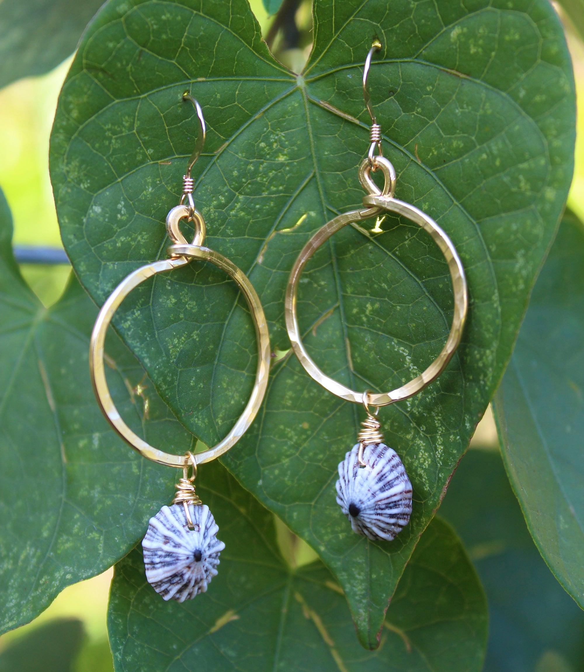 'OPIHI ‘AWA MINI HOOPS