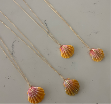 Load image into Gallery viewer, HAWAI&#39;I SUNRISE SHELL NECKLACE
