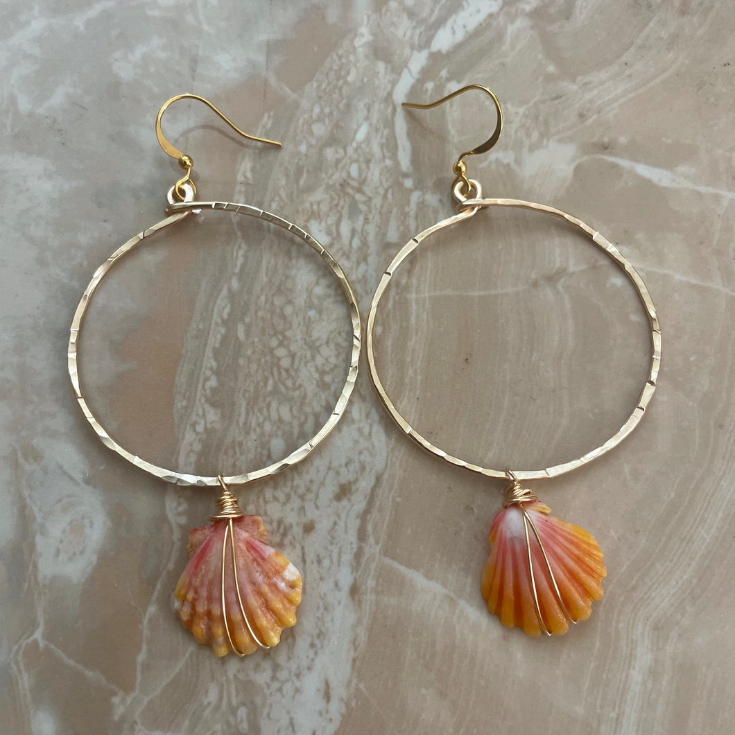 SUNRISE SHELL HOOPS