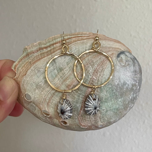'OPIHI ‘AWA MINI HOOPS