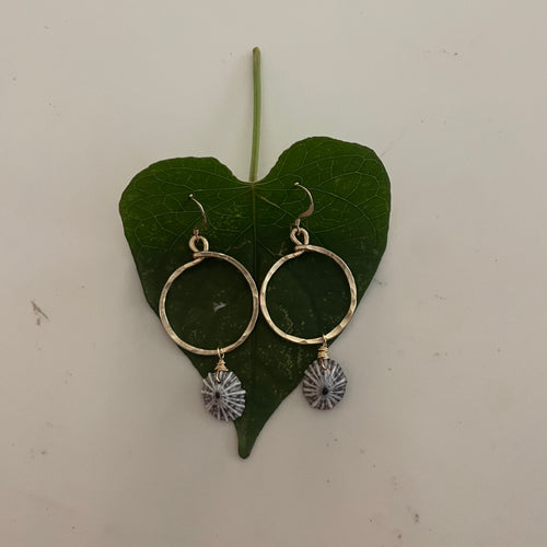 'OPIHI ‘AWA MINI HOOPS