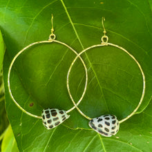 Load image into Gallery viewer, HEBREW SHELL HOOPS
