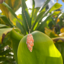 Load image into Gallery viewer, HAWAI’I MITER SHELL NECKLACE
