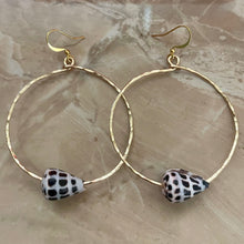 Load image into Gallery viewer, HEBREW SHELL HOOPS
