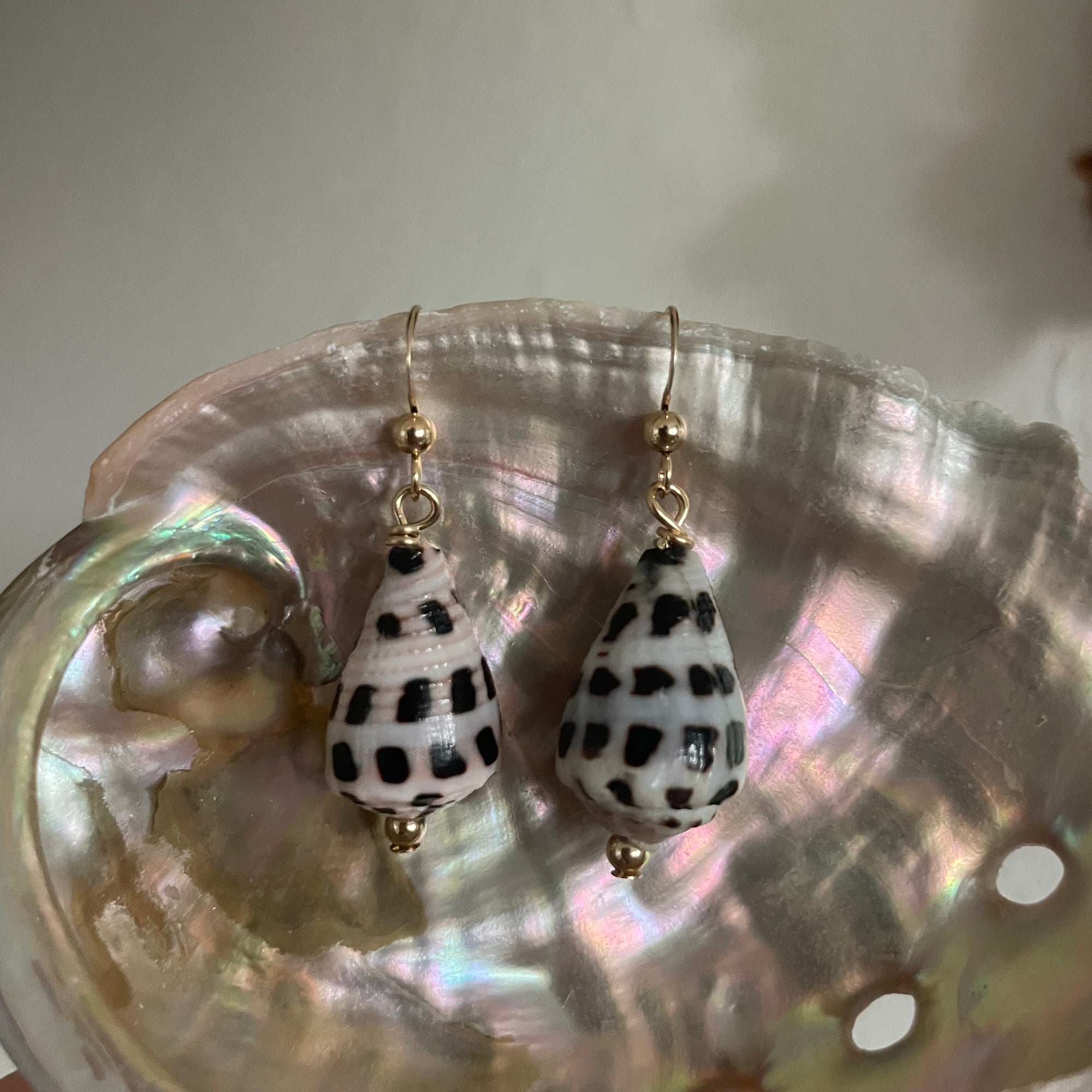 HEBREW CONE SHELL EARRINGS