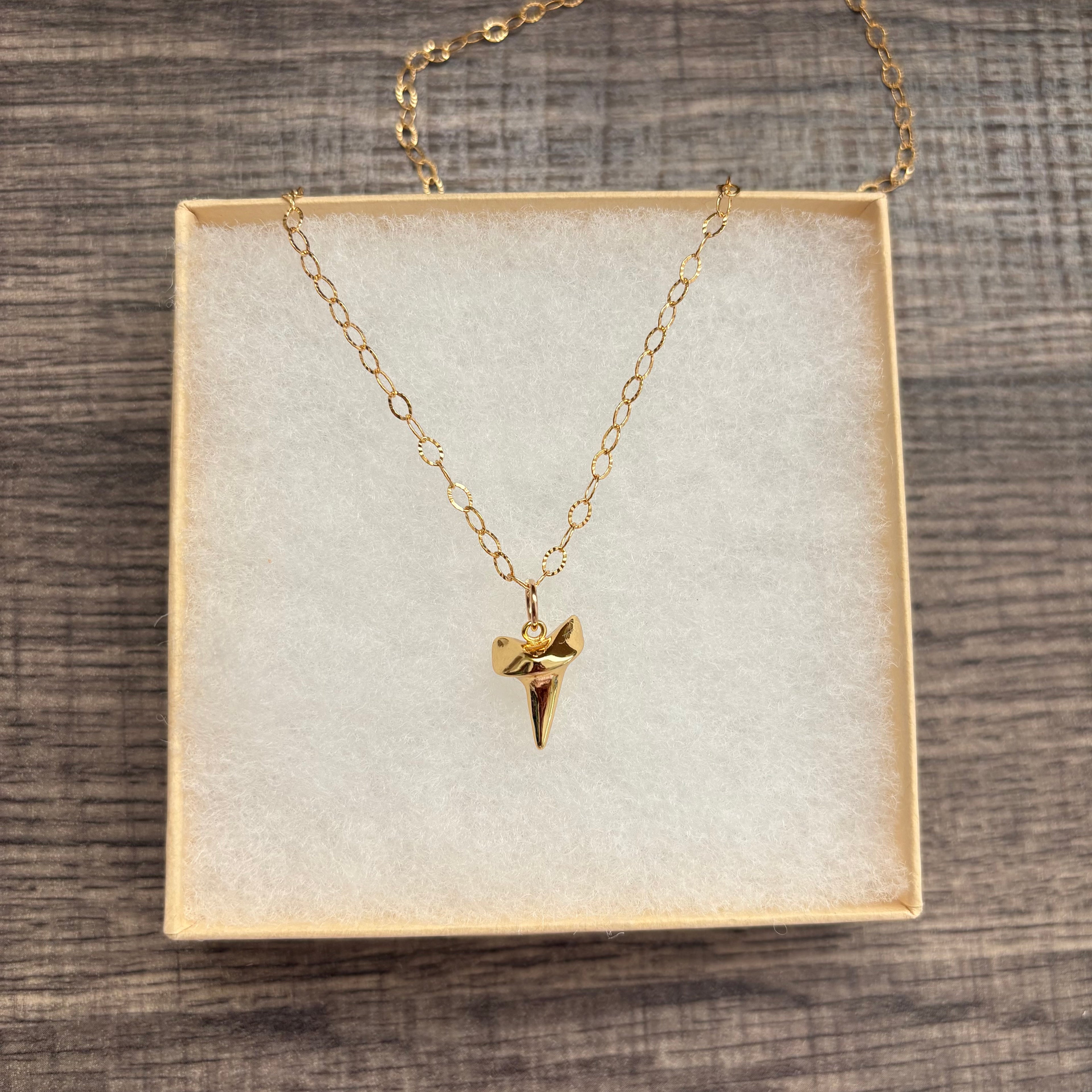 SHARKS TOOTH NECKLACE