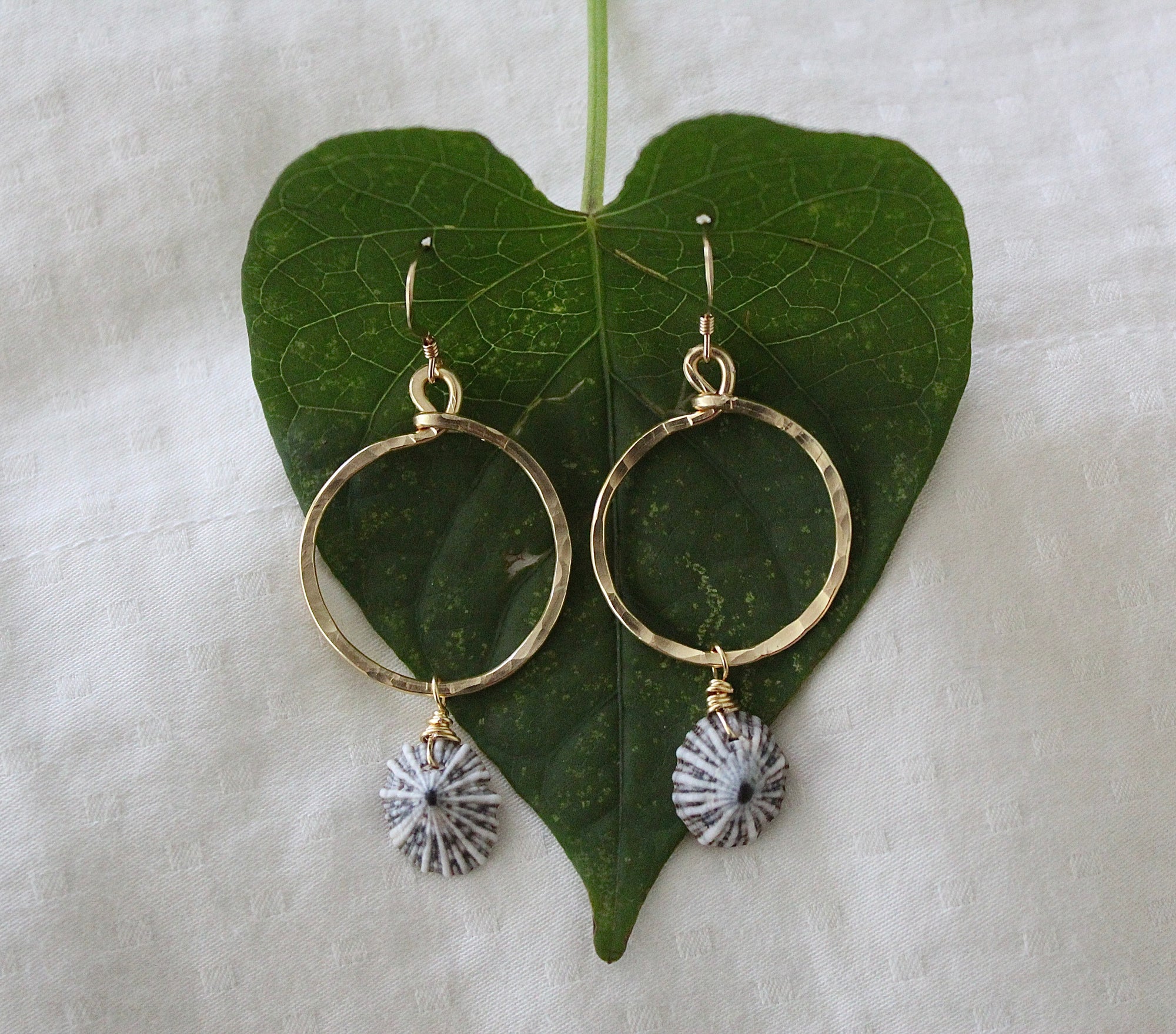 'OPIHI ‘AWA MINI HOOPS