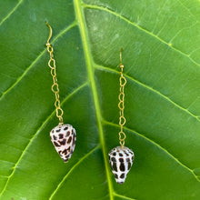 Load image into Gallery viewer, HEBREW SHELL DANGLE EARRINGS
