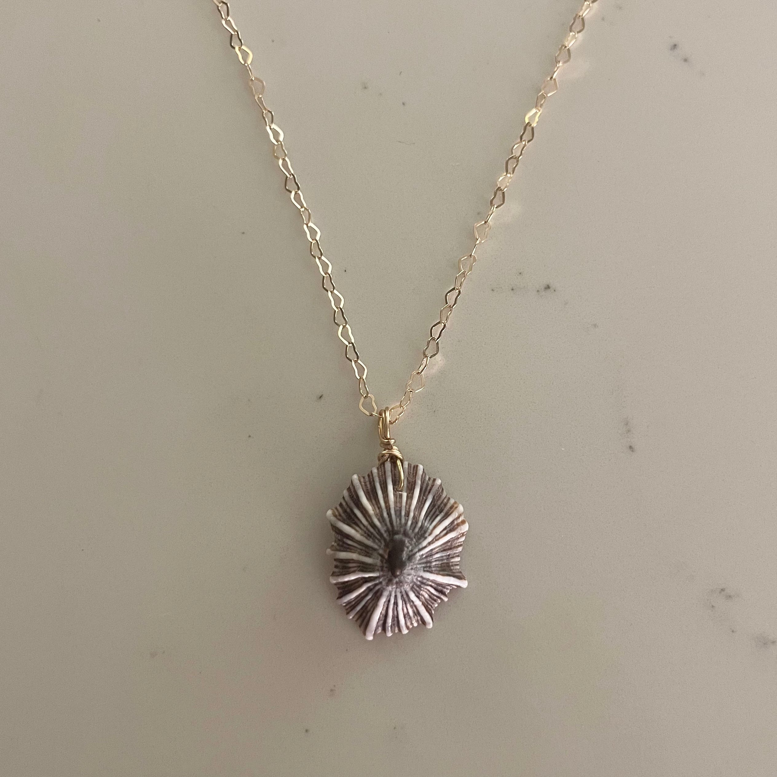 ‘OPIHI ‘AWA NECKLACE