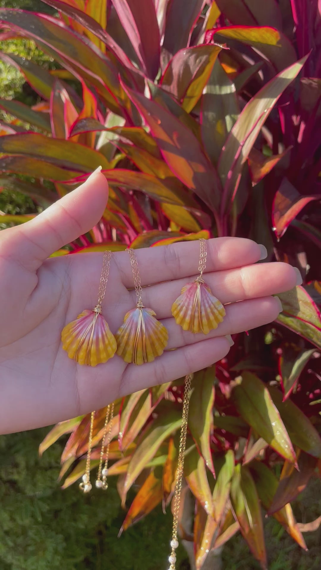 HAWAI'I SUNRISE SHELL NECKLACE